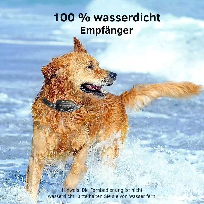ProTrain – Wiederaufladbares, wasserdichtes Hundetrainingshalsband 7