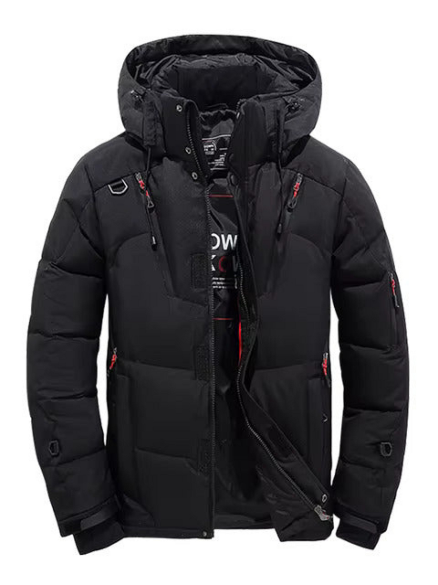 Winter-Daunenjacke für Herren | Gesteppt, mit Kapuze 2