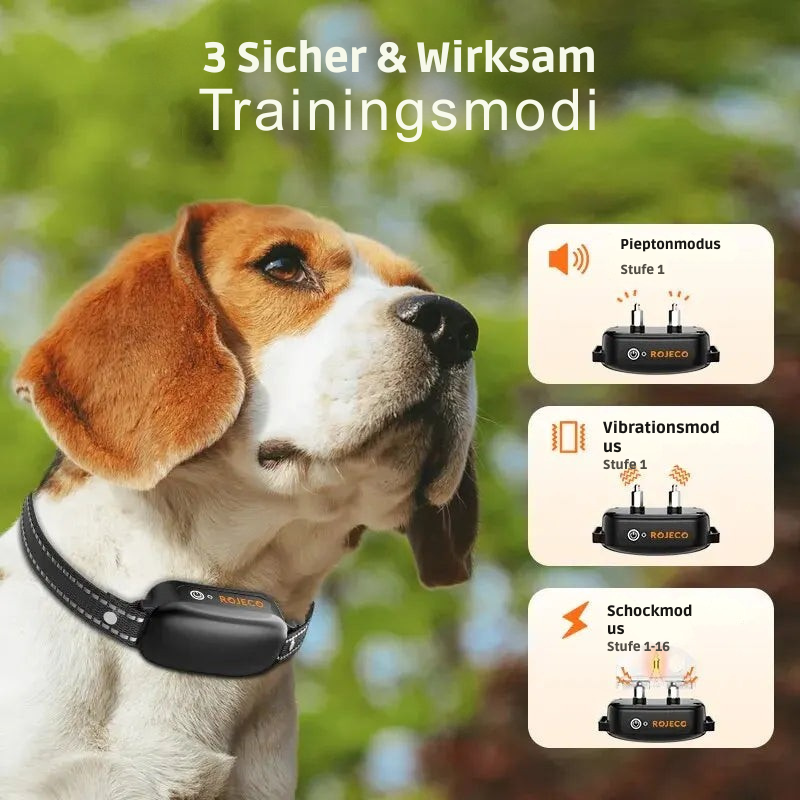 ProTrain – Wiederaufladbares, wasserdichtes Hundetrainingshalsband 4