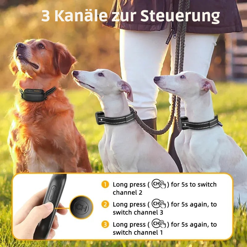ProTrain – Wiederaufladbares, wasserdichtes Hundetrainingshalsband 5