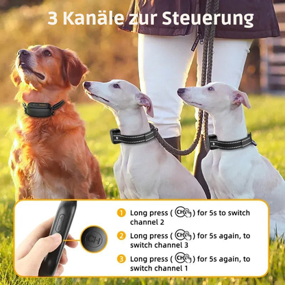 ProTrain – Wiederaufladbares, wasserdichtes Hundetrainingshalsband 5
