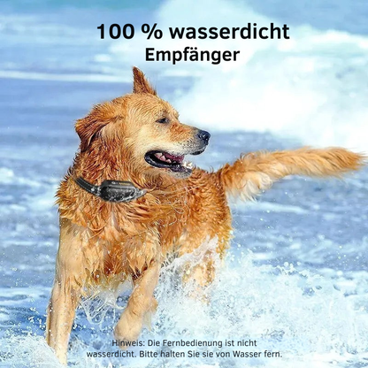 ProTrain – Wiederaufladbares, wasserdichtes Hundetrainingshalsband 7