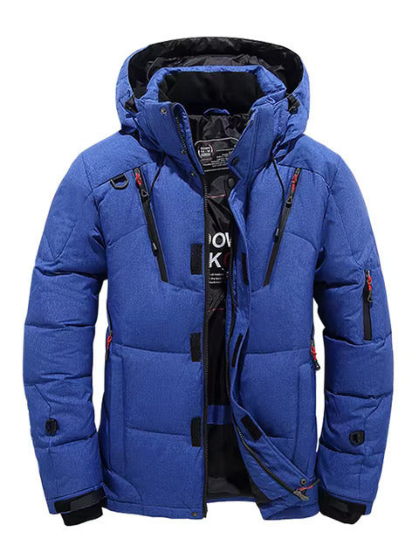 Winter-Daunenjacke für Herren | Gesteppt, mit Kapuze 1